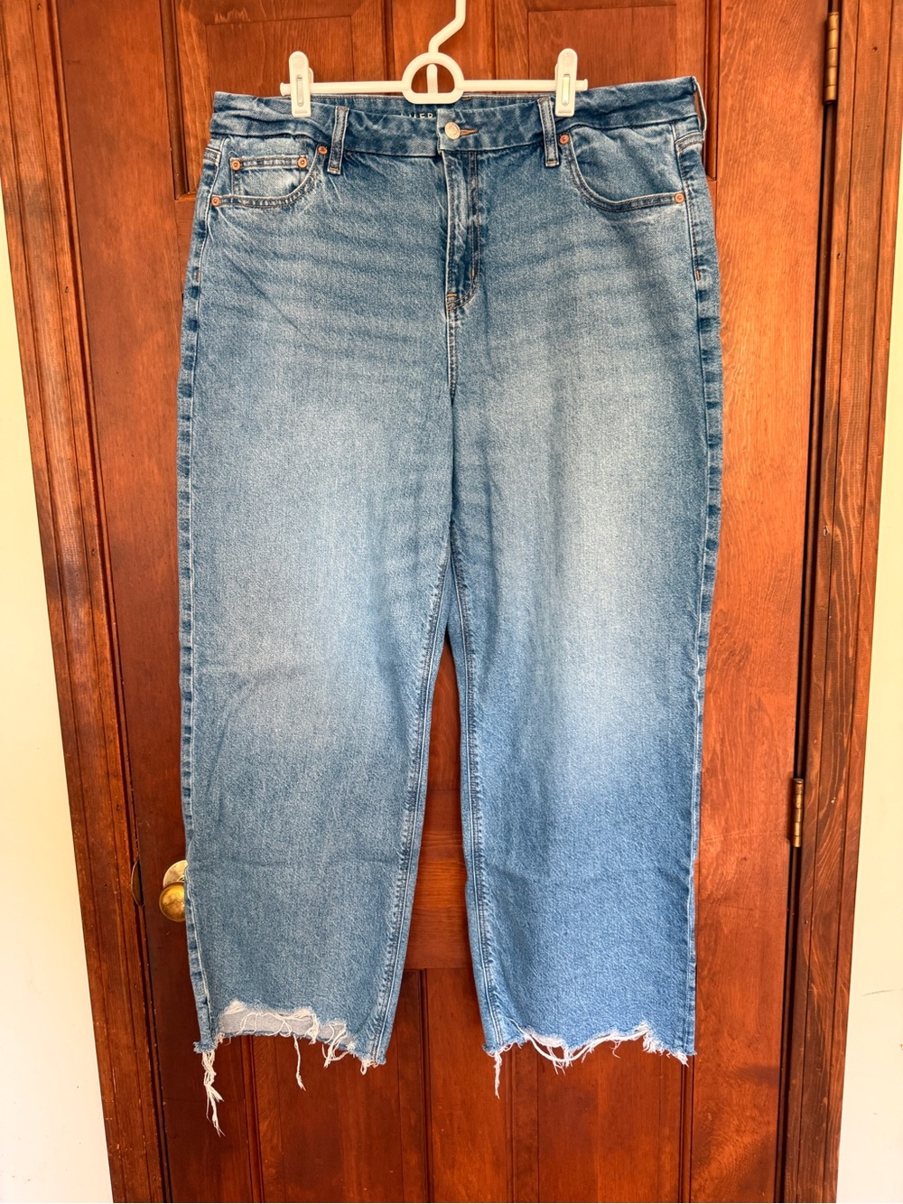 American Eagle Curvy Stovepipe Jeans Size 16 Regular Raw Hem